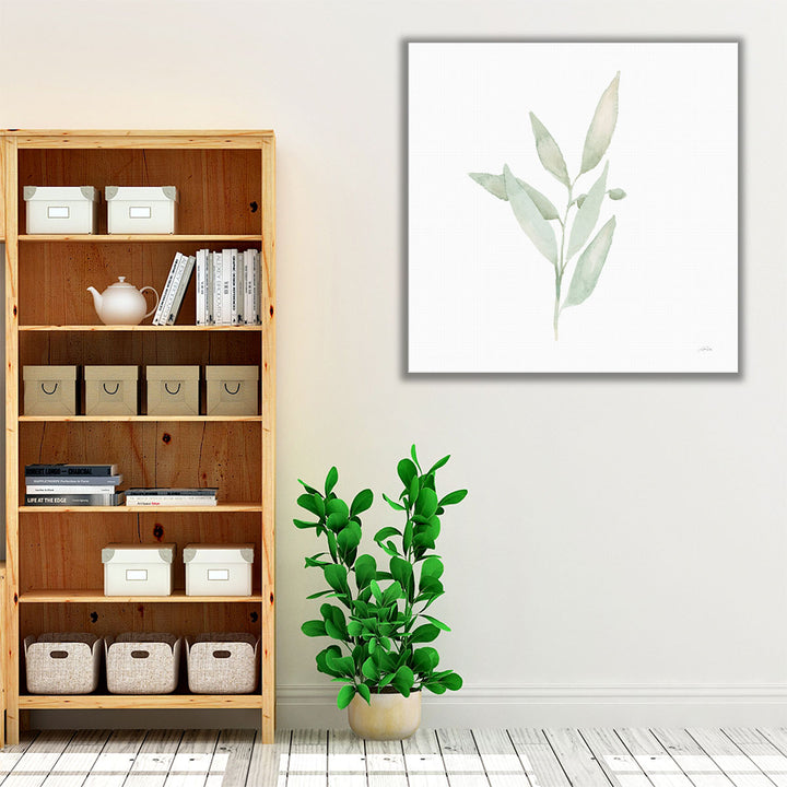 Sage II - Canvas Print Wall Art