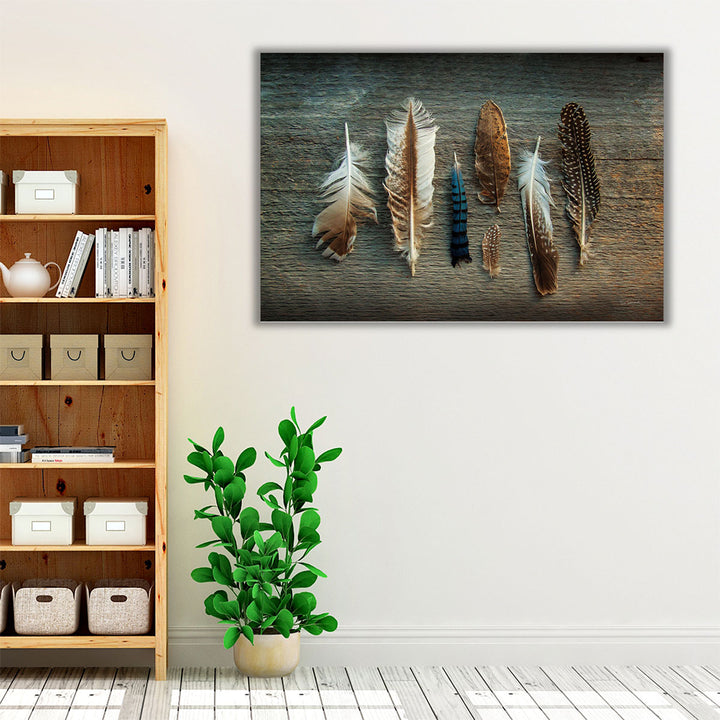 Feather Collection I - Canvas Print Wall Art