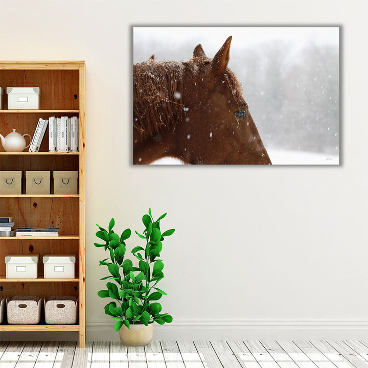 Snowy Caleb - Canvas Print Wall Art