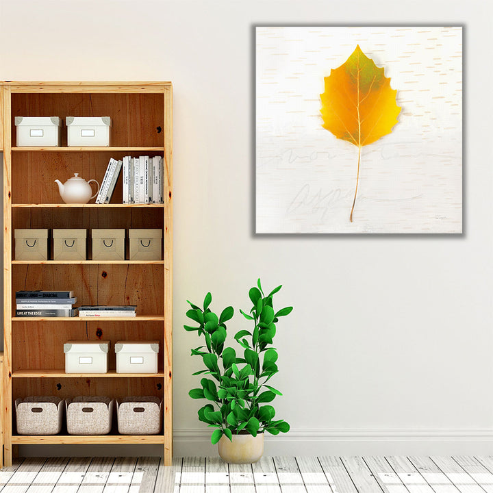 Autumn Colors III - Canvas Print Wall Art