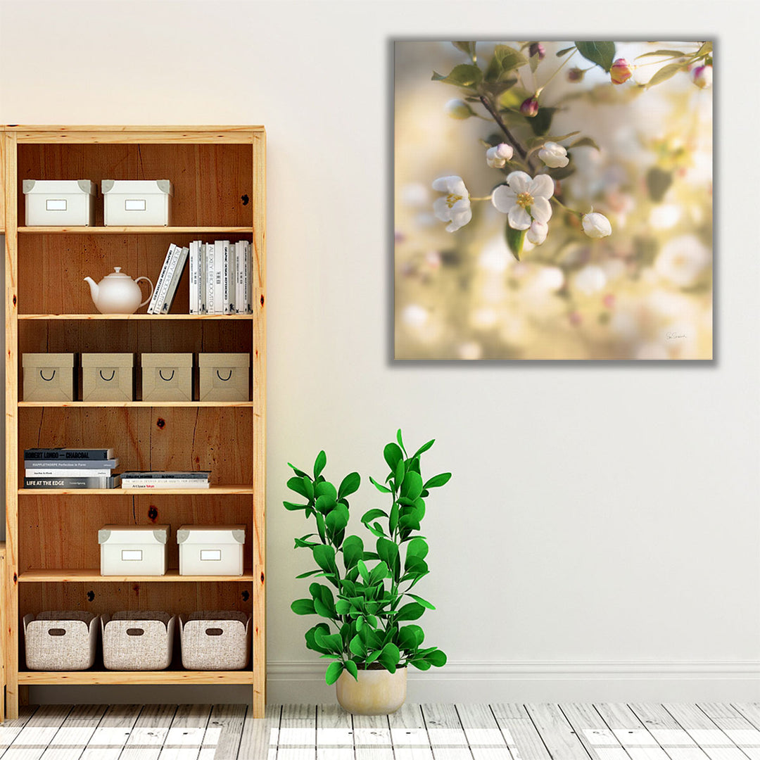 Blush Blossoms I - Canvas Print Wall Art