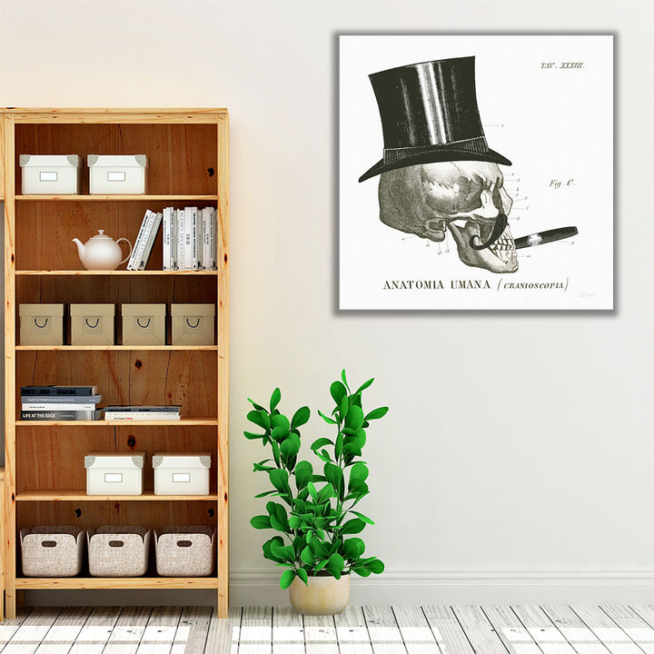 Dandy Bones III Black and White - Canvas Print Wall Art