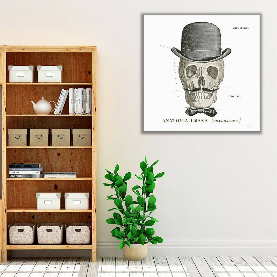 Dandy Bones IV Black and White - Canvas Print Wall Art