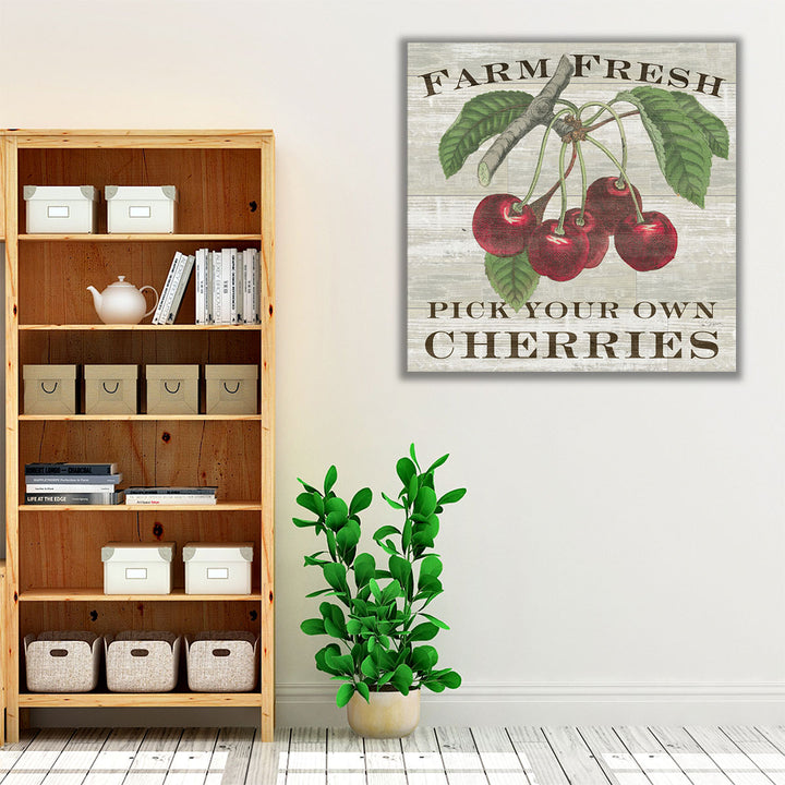 Farm Fresh Cherries - Canvas Print Wall Art