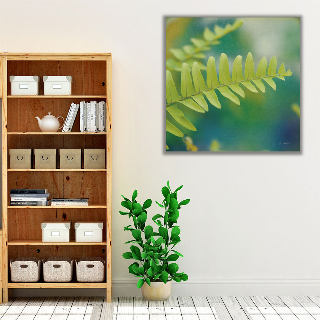 Natures Ferns I - Canvas Print Wall Art