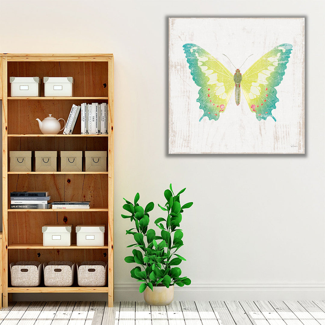 White Barn Butterflies III - Canvas Print Wall Art