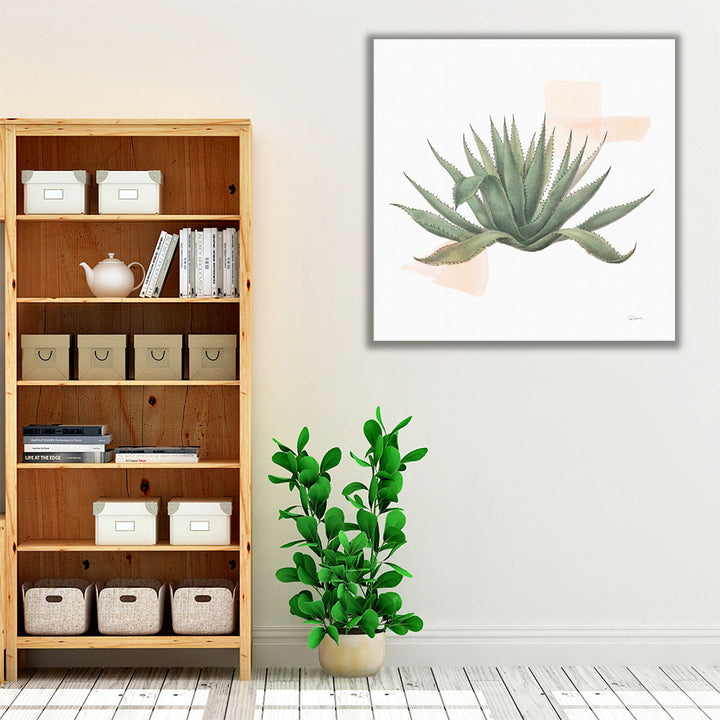 Desert Color Succulent I - Canvas Print Wall Art