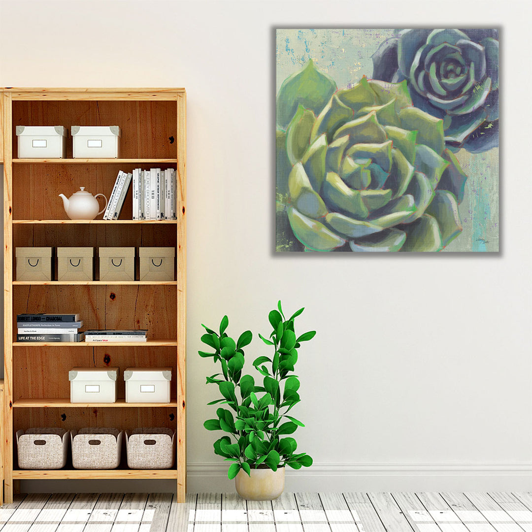 Succulents I - Canvas Print Wall Art