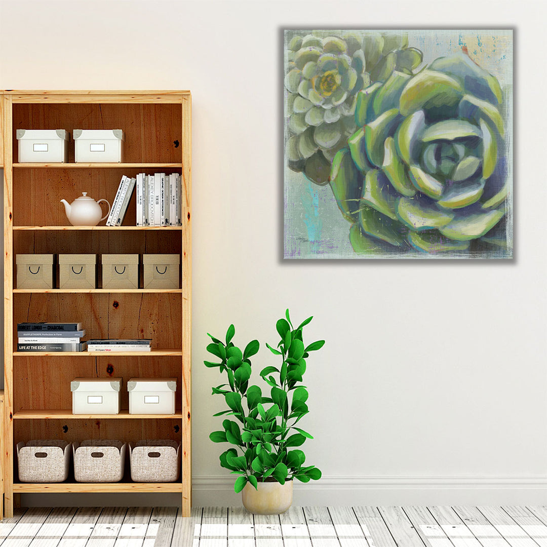 Succulents II - Canvas Print Wall Art