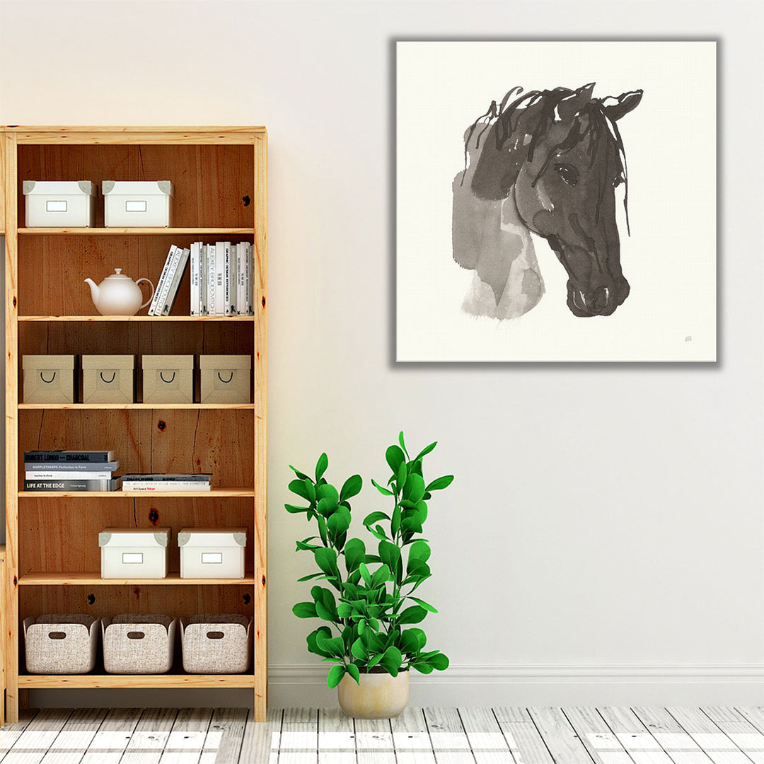 Horse Portrait I Black and White - Canvas Print Wall Art