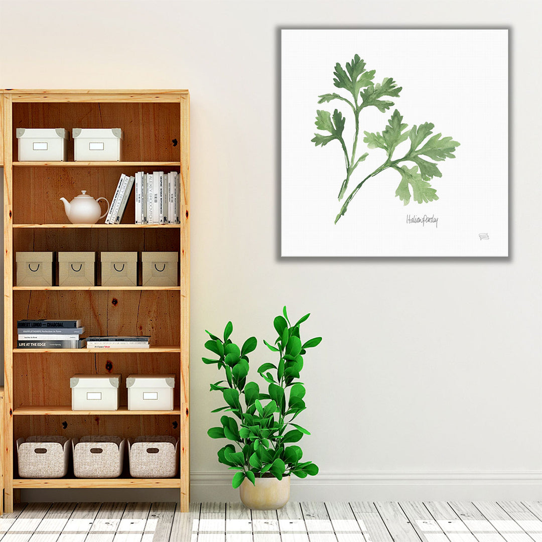 Italian Parsley - Canvas Print Wall Art