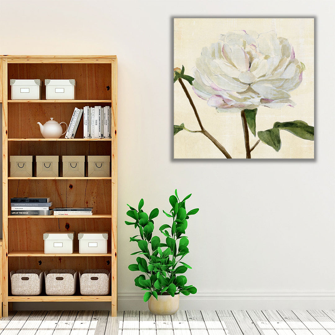 Peony in Bloom I - Canvas Print Wall Art