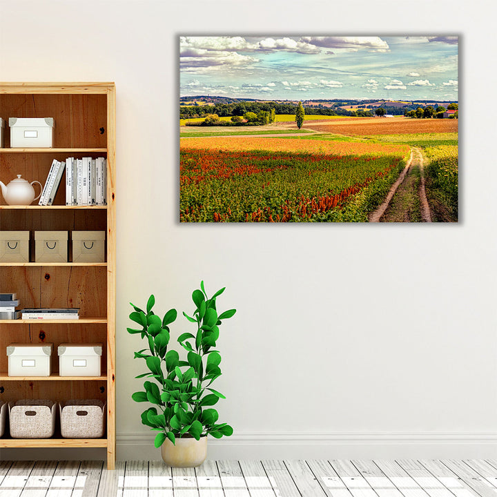 Back Road From Francescas - Canvas Print Wall Art