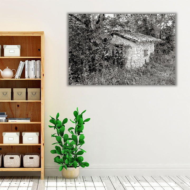 Back To Nature Black And White - Canvas Print Wall Art