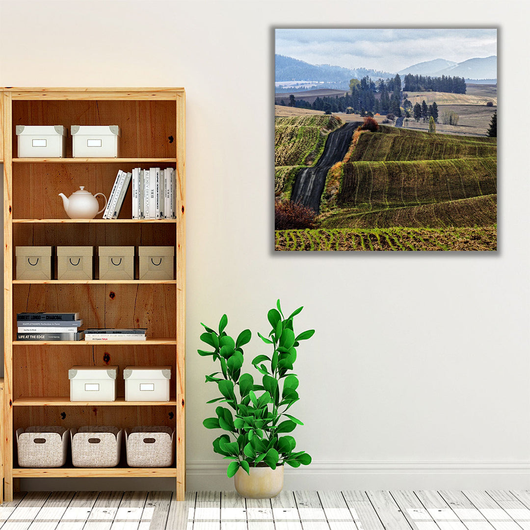 Palouse Hills - Canvas Print Wall Art