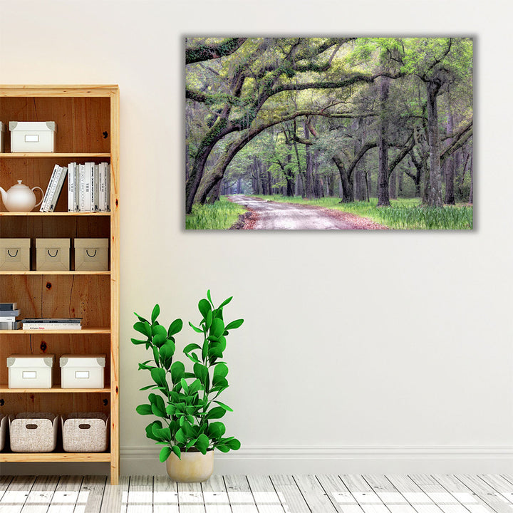 Dirt Road I - Canvas Print Wall Art