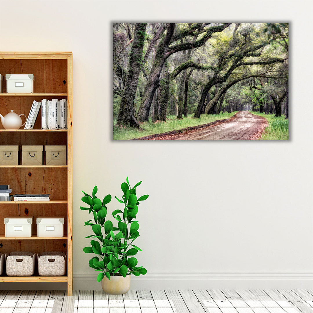 Dirt Road II - Canvas Print Wall Art