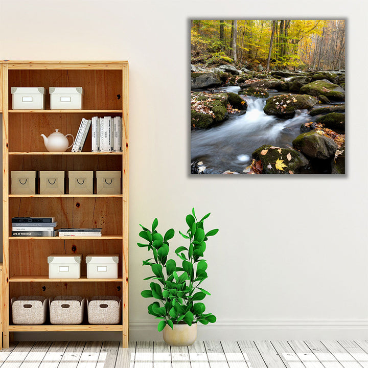 Autumn Rush - Canvas Print Wall Art