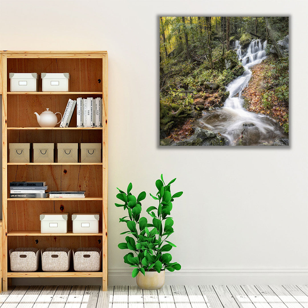 Roadside Falls - Canvas Print Wall Art