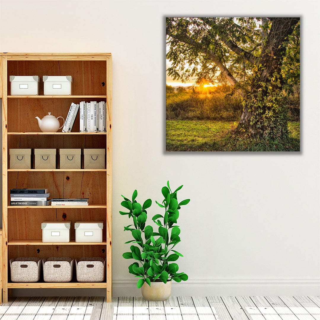 Calling It a Day - Canvas Print Wall Art