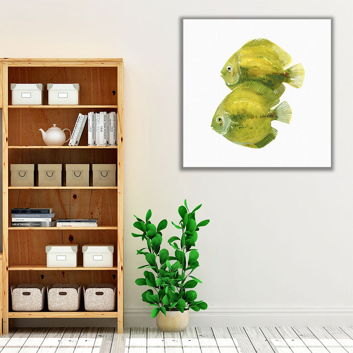 Discus Fish II - Canvas Print Wall Art