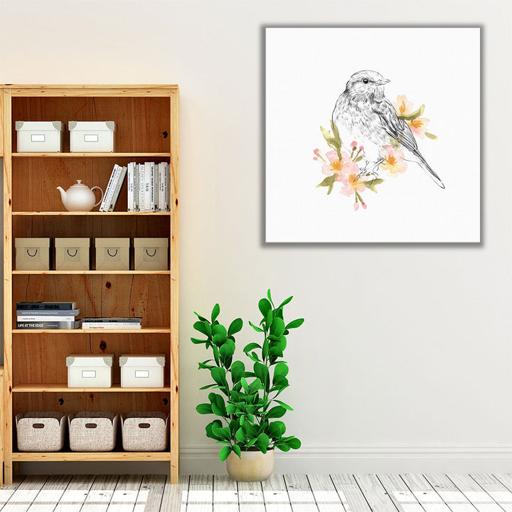 Robin Sketch I - Canvas Print Wall Art