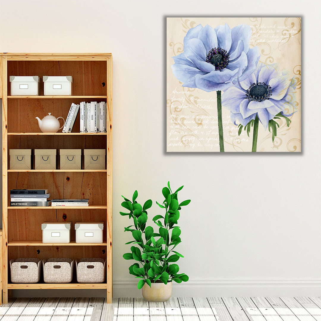 Elegant Anemone I - Canvas Print Wall Art