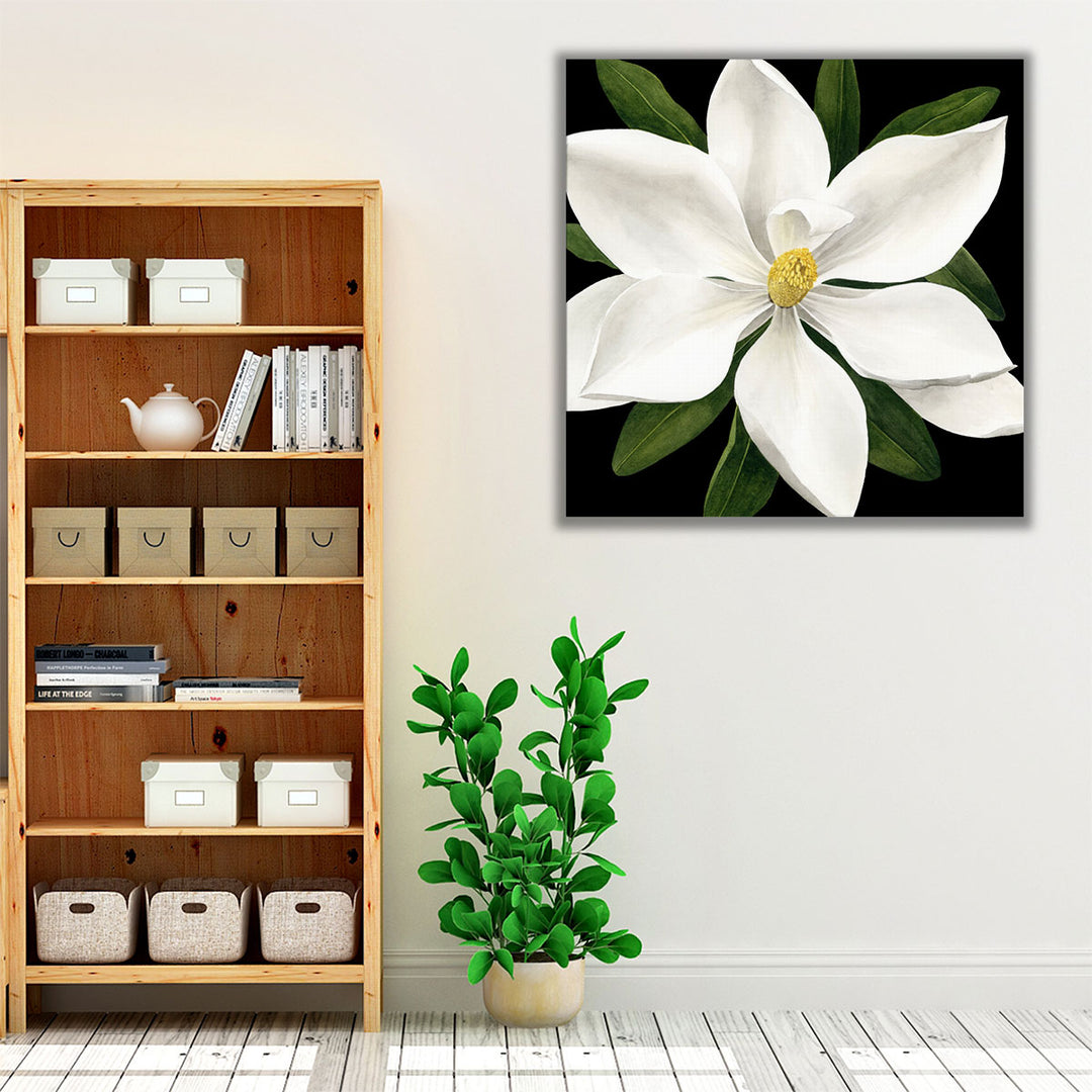 Midnight Magnolia I - Canvas Print Wall Art