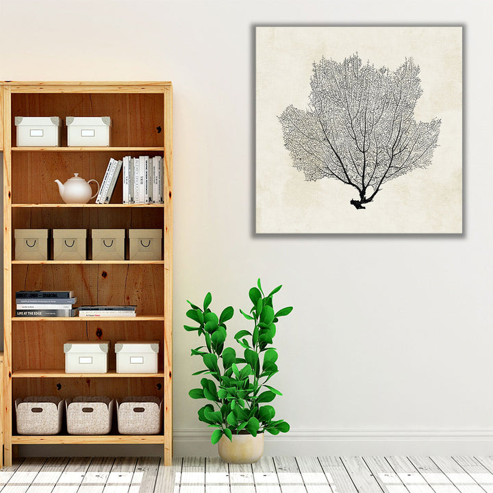 Sea Fan Sketch I Black And White - Canvas Print Wall Art