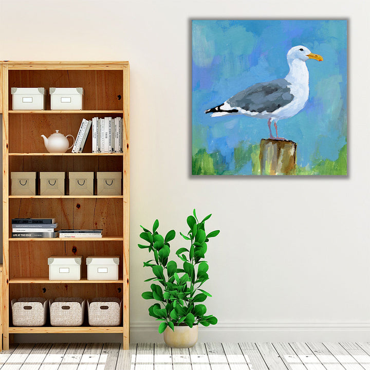 Salty Gull I - Canvas Print Wall Art