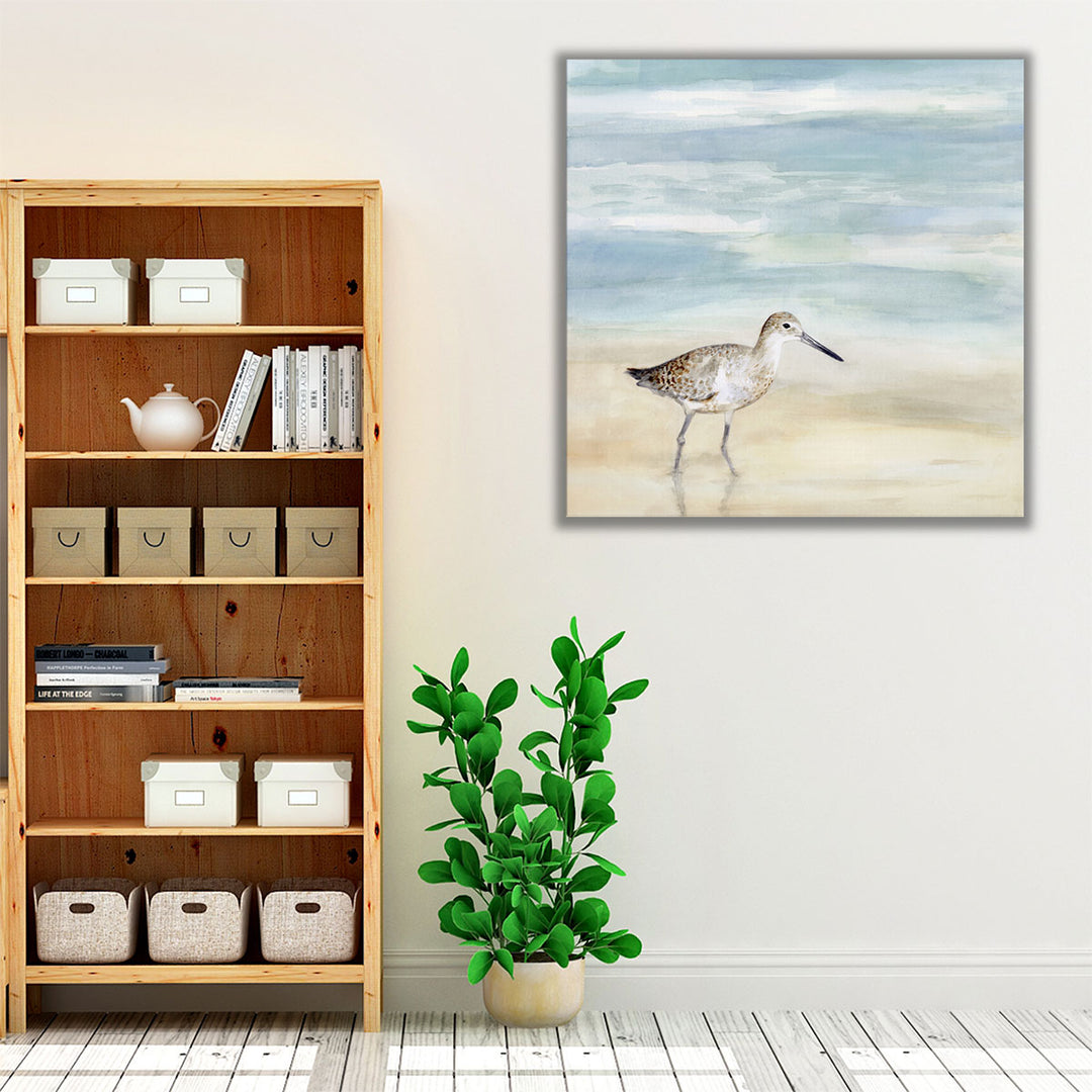 Speckled Willet I - Canvas Print Wall Art