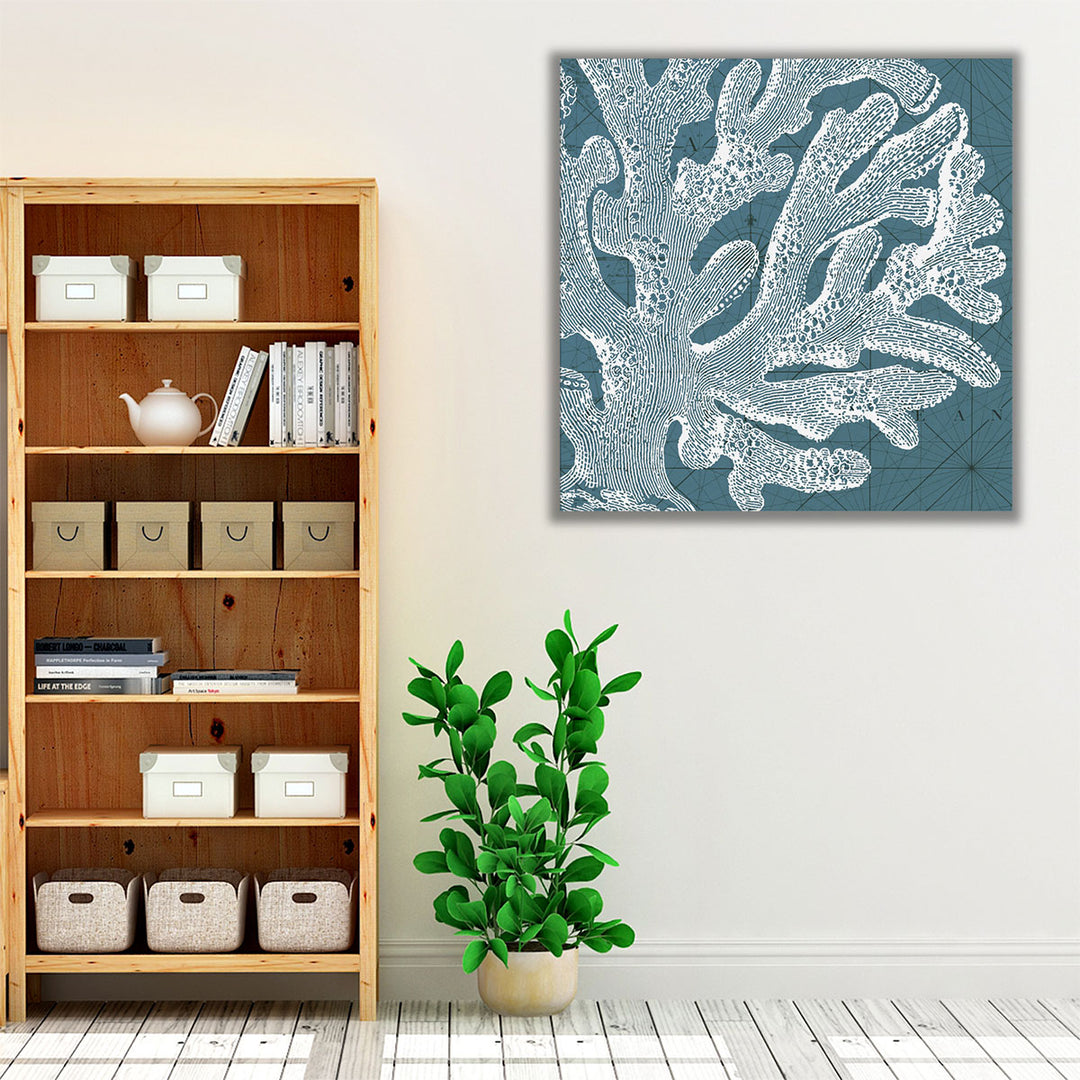 Coastal Menagerie II - Canvas Print Wall Art