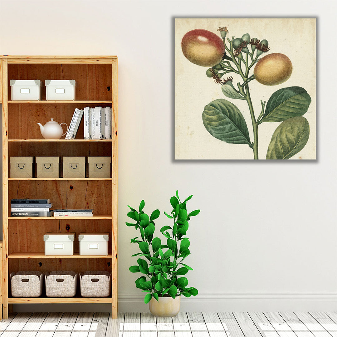 Garden Bounty I - Canvas Print Wall Art