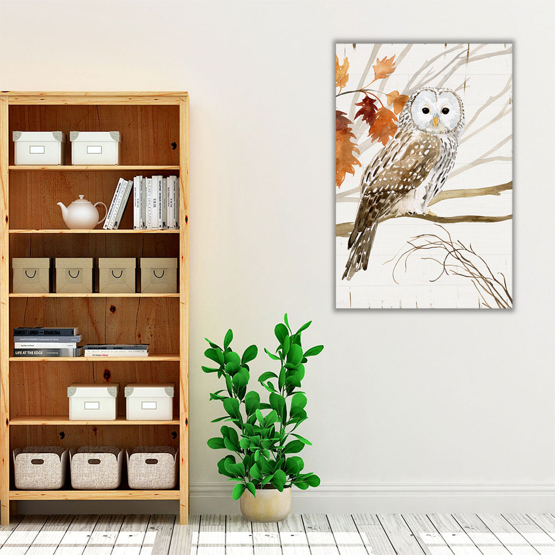 Harvest Owl I - Canvas Print Wall Art