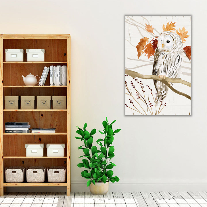 Harvest Owl II - Canvas Print Wall Art