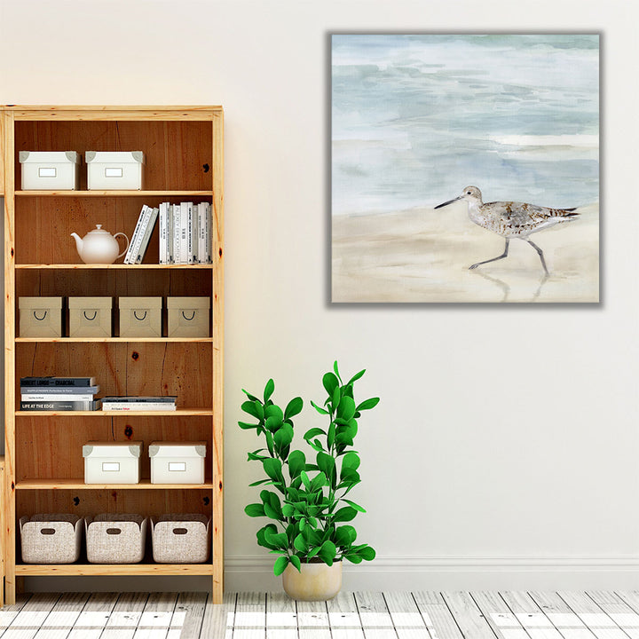 Speckled Willet II - Canvas Print Wall Art