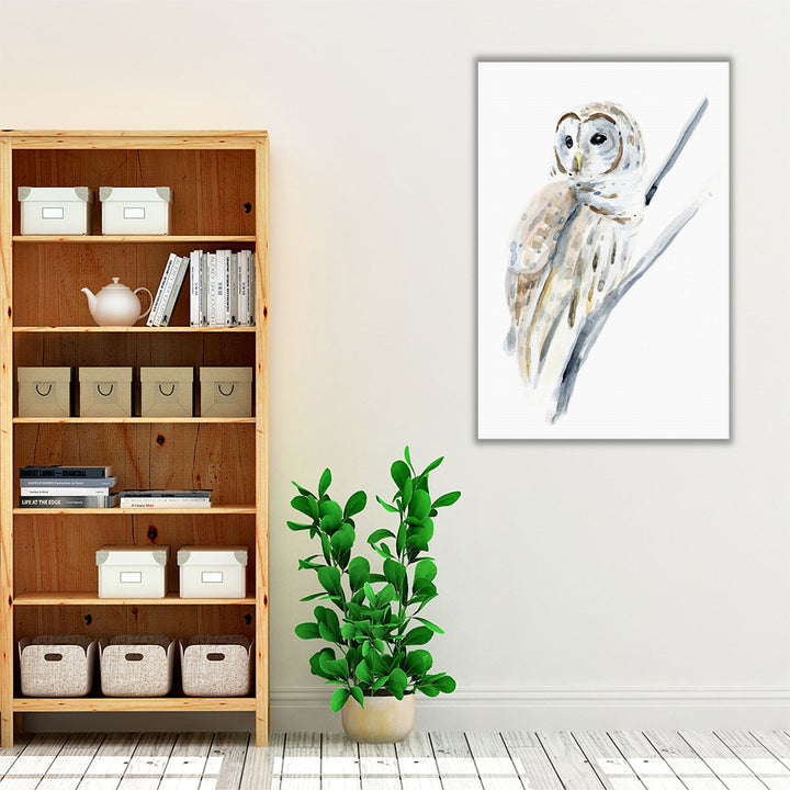 Arctic Owl I - Canvas Print Wall Art