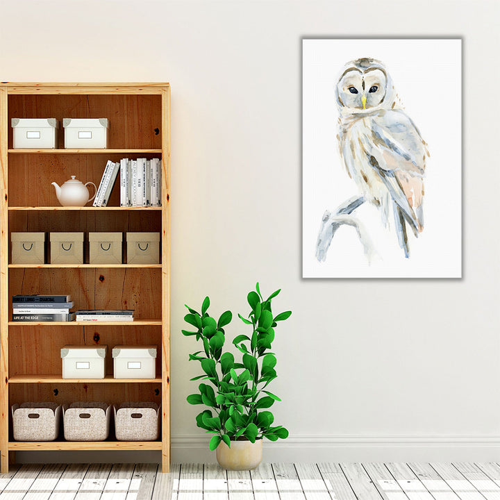 Arctic Owl II - Canvas Print Wall Art