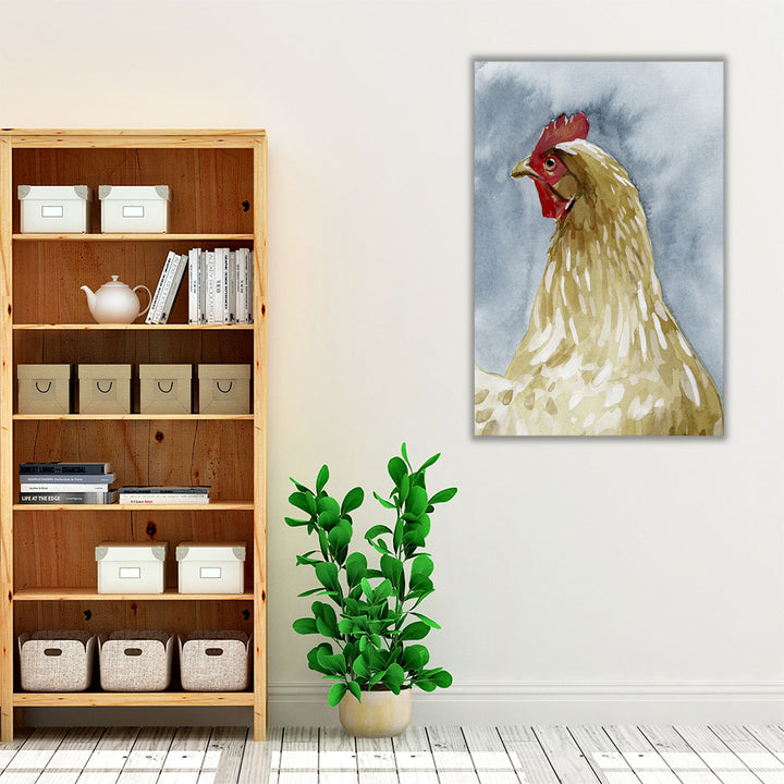 Chicken Portrait I - Canvas Print Wall Art