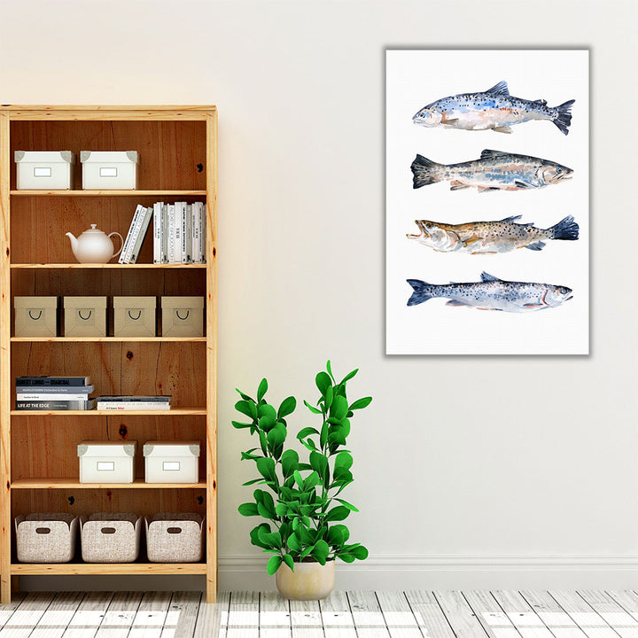 Stacked Trout II - Canvas Print Wall Art