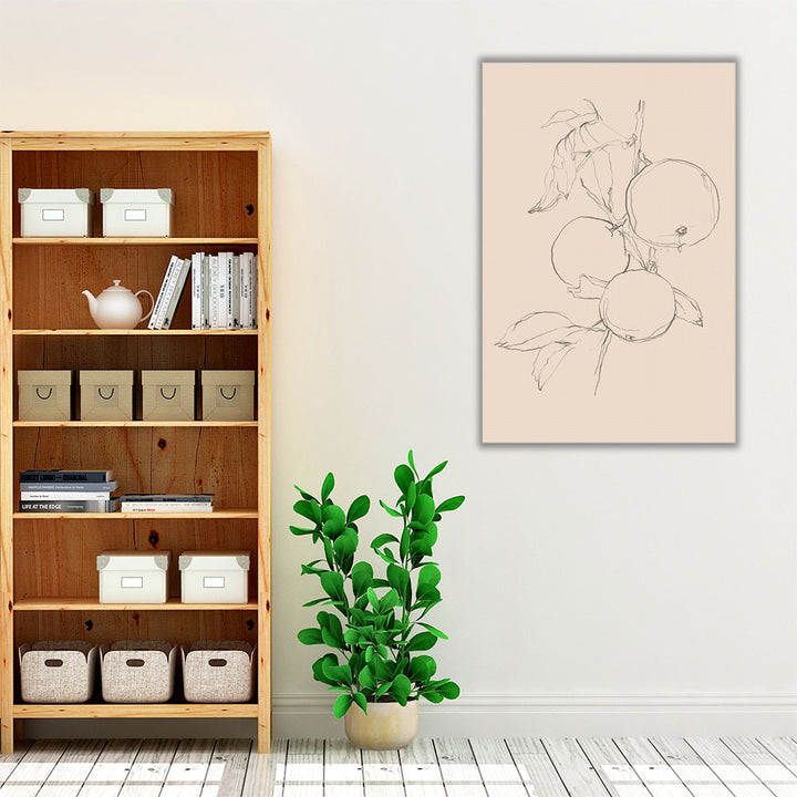 Fruit Contour Study I - Canvas Print Wall Art