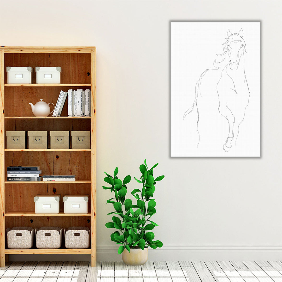 Horse Contour I - Canvas Print Wall Art