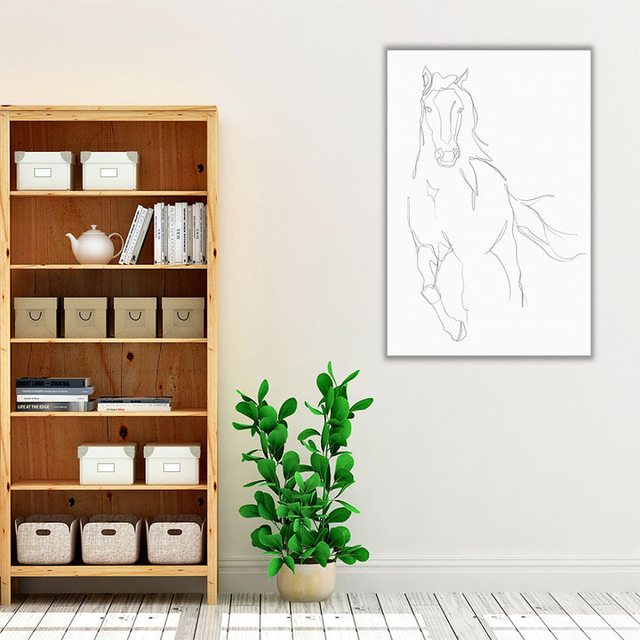 Horse Contour II - Canvas Print Wall Art