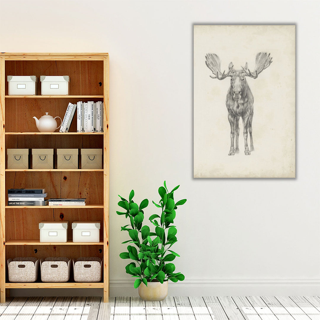 Moose Study - Canvas Print Wall Art