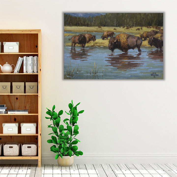 Buffalo Crossing - Canvas Print Wall Art