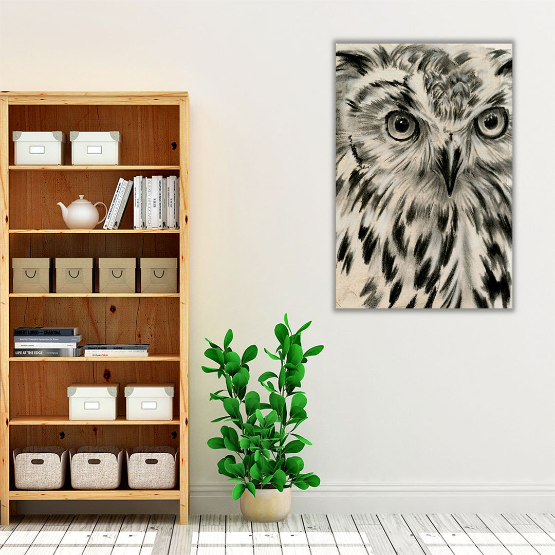 Charcoal Owl I - Canvas Print Wall Art