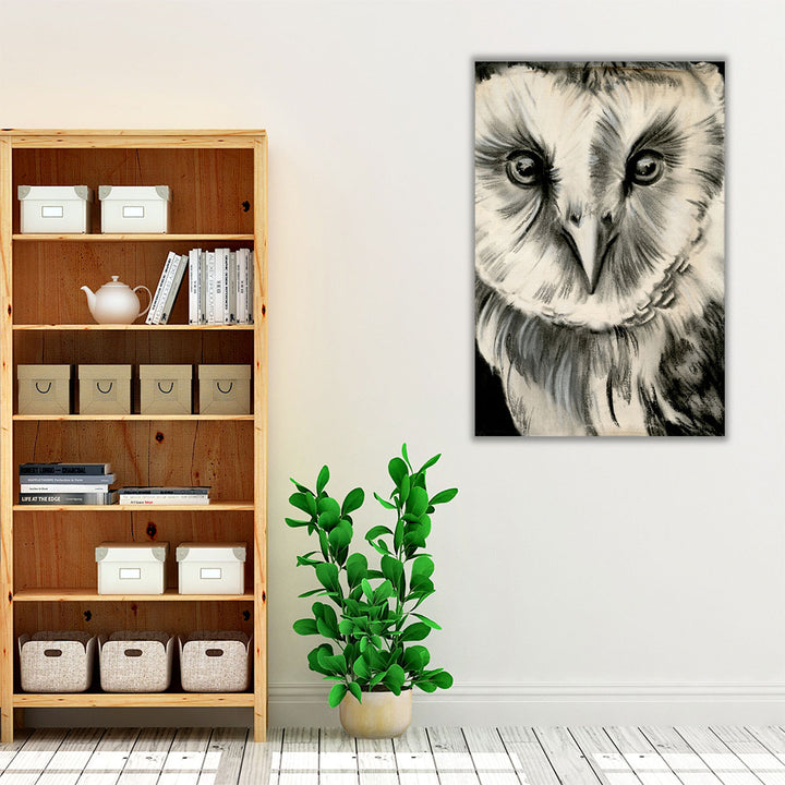 Charcoal Owl II - Canvas Print Wall Art