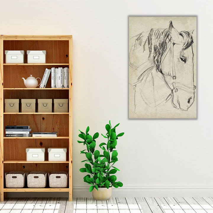 Horse in Bridle Sketch I - Canvas Print Wall Art