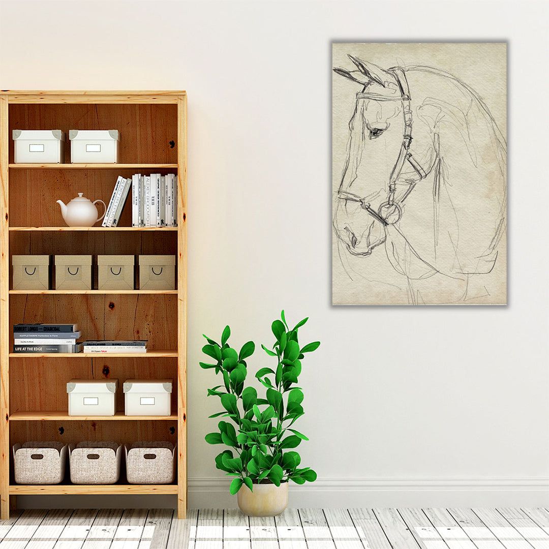 Horse in Bridle Sketch II - Canvas Print Wall Art