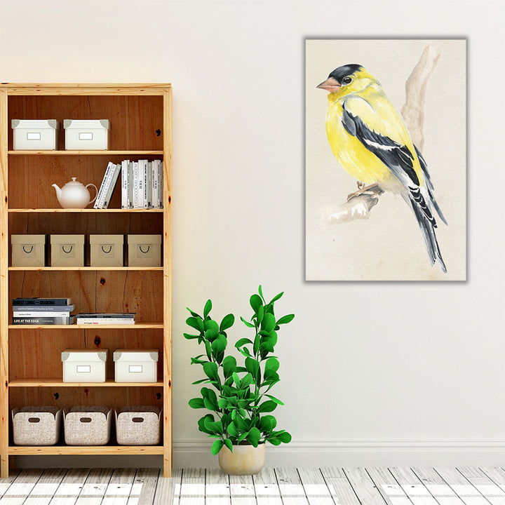 Little Bird on Branch III - Canvas Print Wall Art